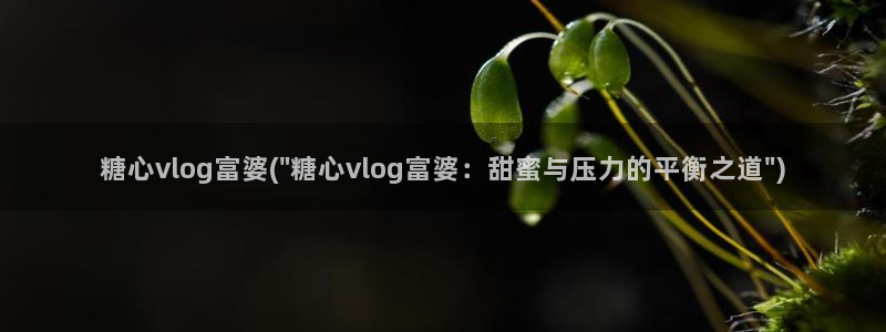 糖心vlgo白丝免费观看