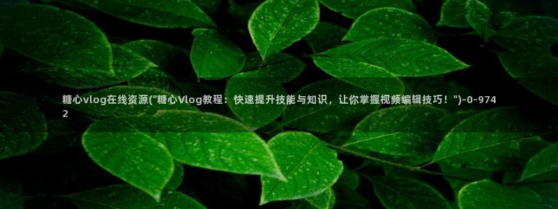 糖心vlog该看糖心了