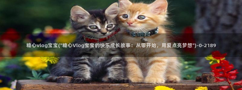 糖心vlgo柚子猫视频