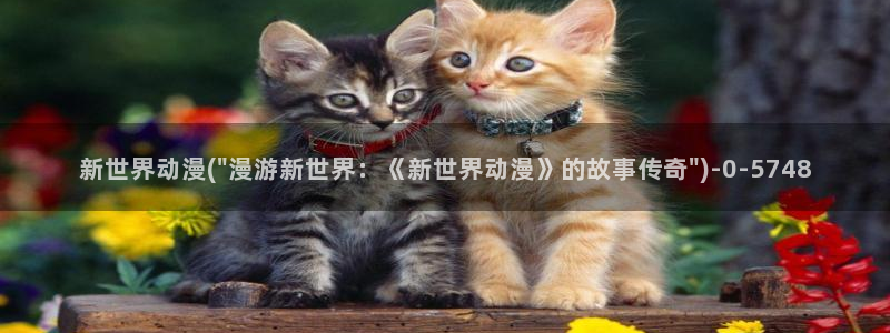 动漫肉片：新世界动漫(\
