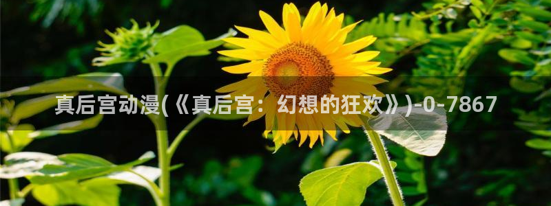 美女动漫
