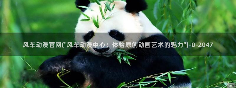 成人动漫电影