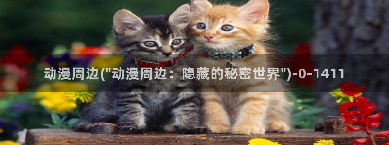 爱动漫
