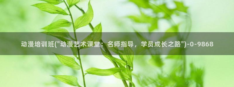动漫国