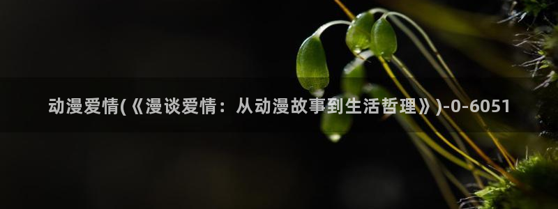 未来日记动漫